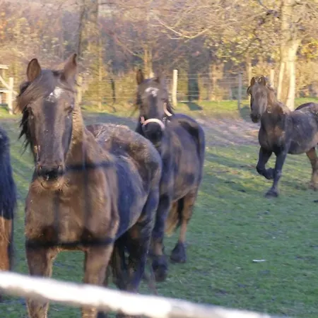 Meschermolen 1, Klein 4-persoons