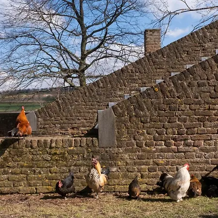 Meschermolen 1, Klein 4-persoons *