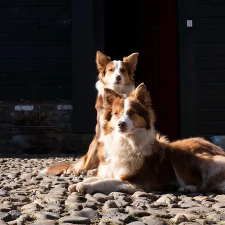 Apartamento Meschermolen 1, Klein 4-persoons Eijsden