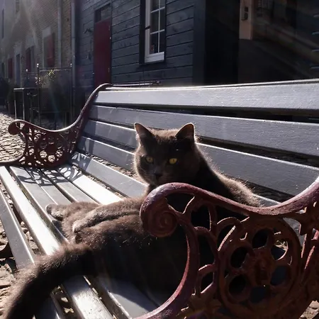 Meschermolen 1, Klein 4-persoons *