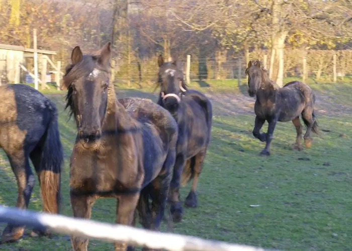 Meschermolen 1, Klein 4-persoons