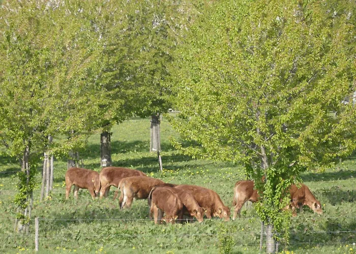 Апартаменты Meschermolen 1, Klein 4-persoons *