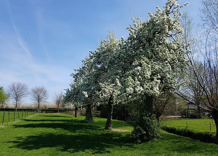 Meschermolen 1, Klein 4-persoons *