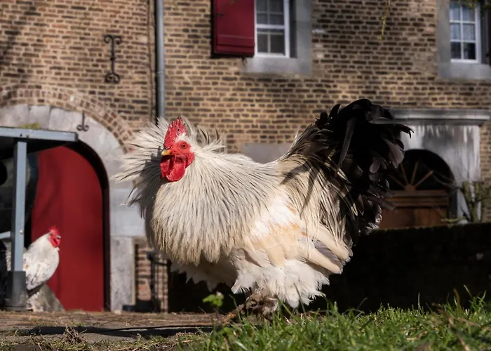 Daire Meschermolen 1, Klein 4-persoons