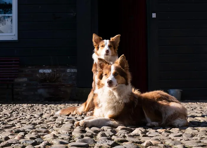 Daire Meschermolen 1, Klein 4-persoons Eijsden