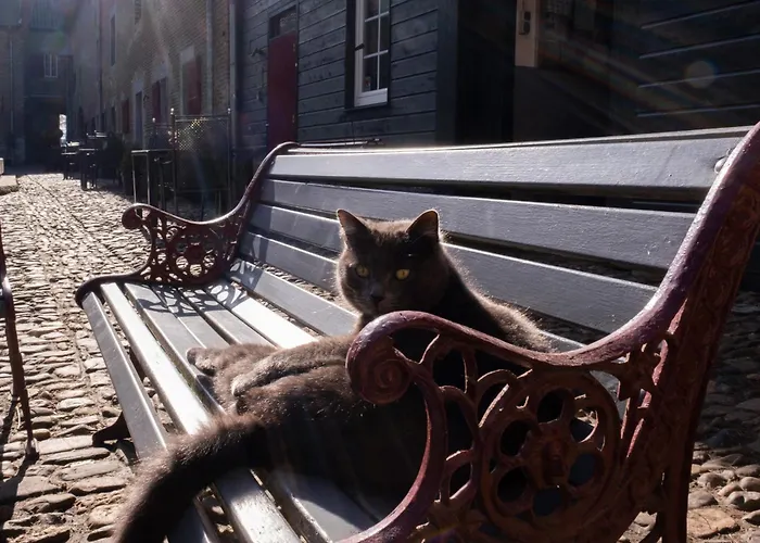 Meschermolen 1, Klein 4-persoons *