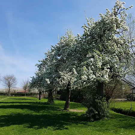 Meschermolen 1, Klein 4-persoons *