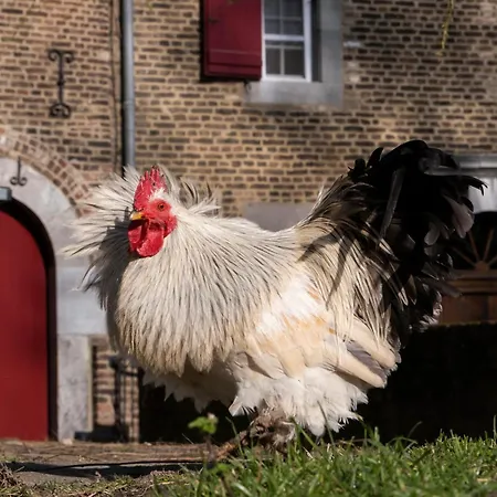 アパート Meschermolen 1, Klein 4-persoons